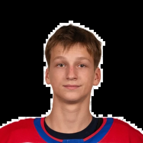 Мандрыкин Тимофей Александрович