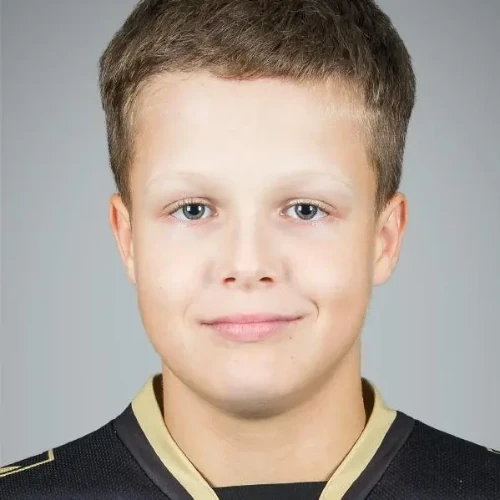Боровой Александр Никитич