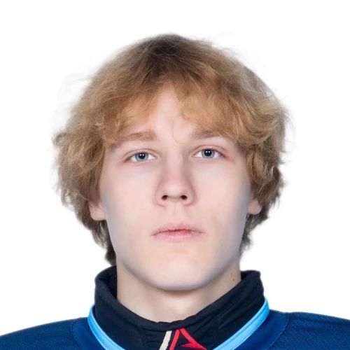 Плешков Дмитрий Алексеевич