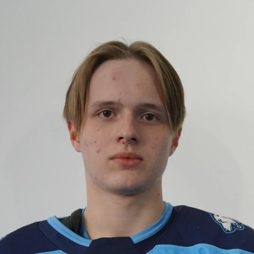 Уткин Михаил Игоревич