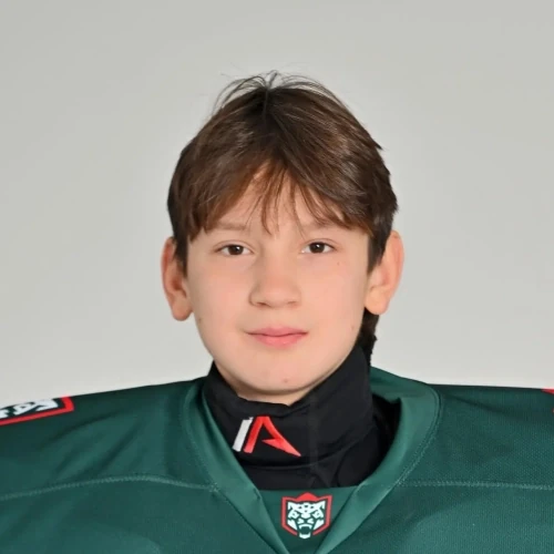 Сафин Амир Айратович