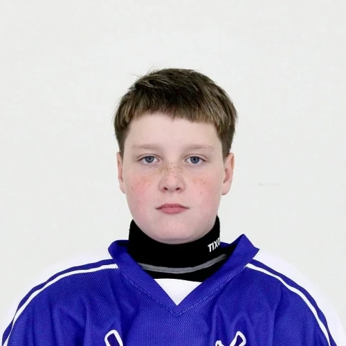 Мельников Лев Андреевич