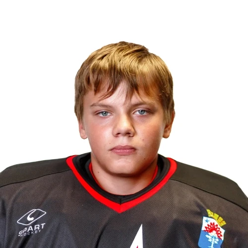 Баринов Дмитрий Сергеевич
