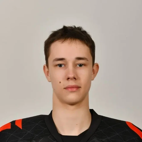Панин Андрей Романович