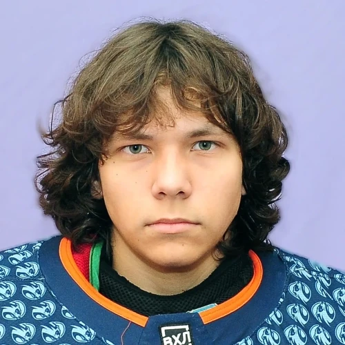 Дрязгов Максим Игоревич