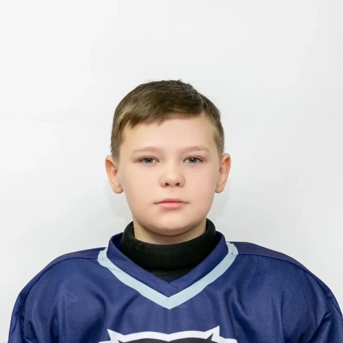 Литвинцев Роман Дмитриевич