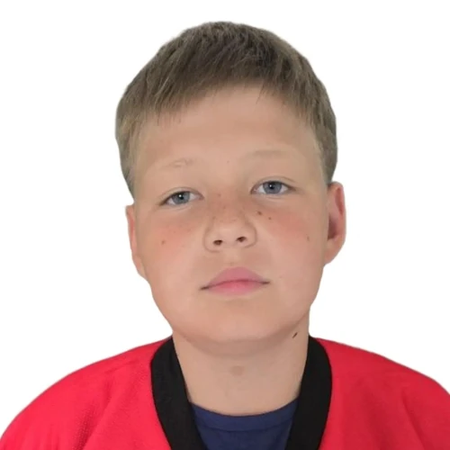 Шурыгин Илья Иванович