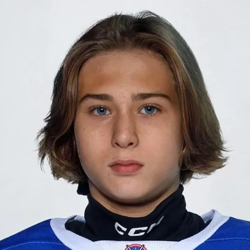 Звягинцев Георгий Романович
