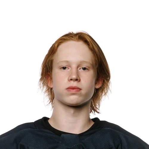 Аленин Алексей Денисович