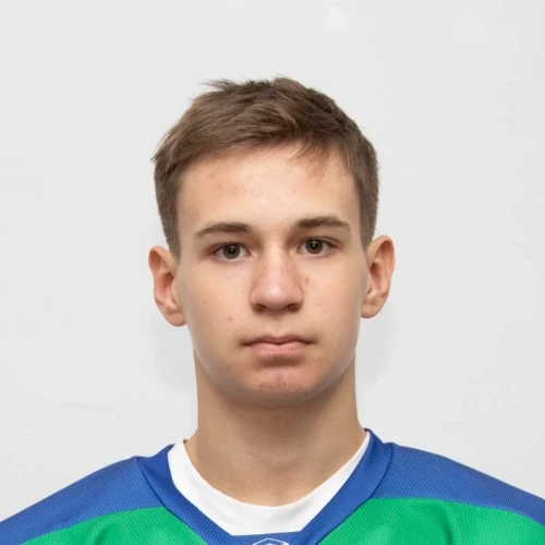 Чернов Денис Дмитриевич