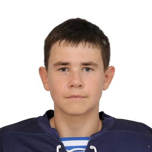 Волокитин Илья Игоревич