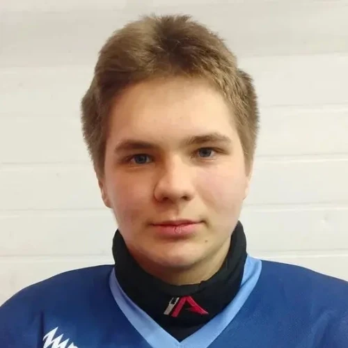 Сергеев Никита Сергеевич