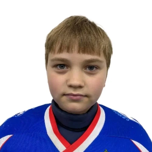 Дмитриев Владимир Александрович