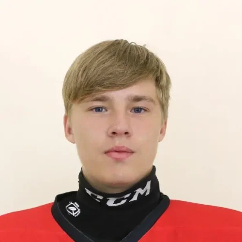 Балалаев Даниил Дмитриевич