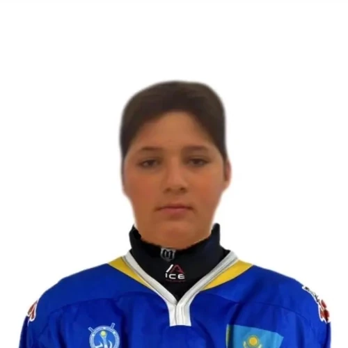 Омаров Амир Нариманович