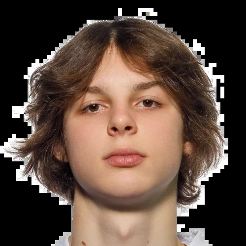 Шибаев Марк Евгеньевич