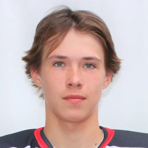 Денисов Сергей Александрович