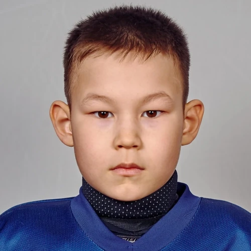 Гильмутдинов Данис Самирович