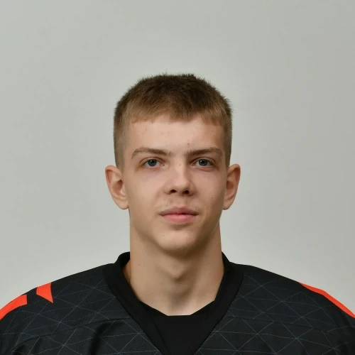 Лексиков Дмитрий Сергеевич