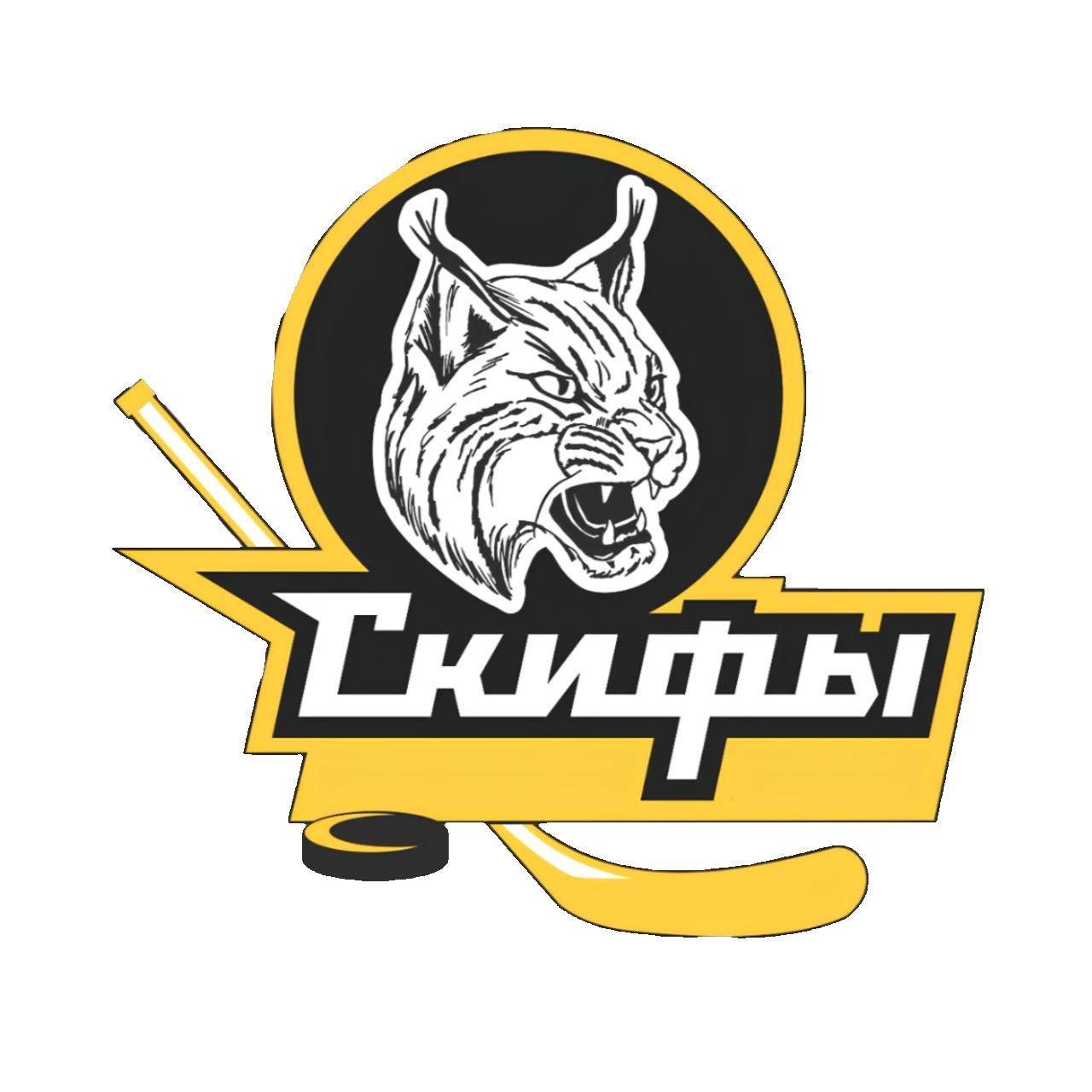ХК Скифы 2013