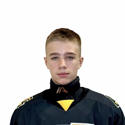 Тяпкин Николай Сергеевич