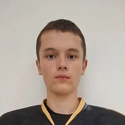 Сергеев Максим Алексеевич
