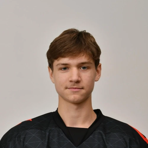 Лабацеев Лев Сергеевич