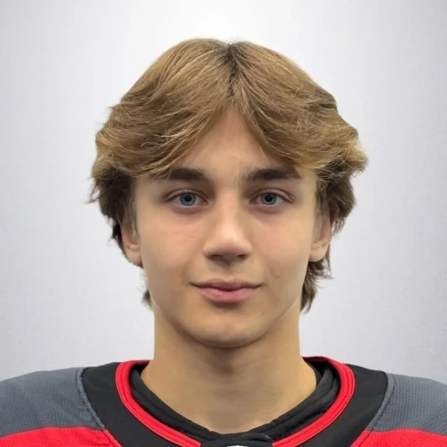 Шумилин Лев Алексеевич