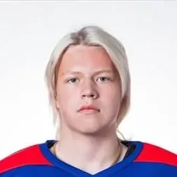 Лебедев Матвей Николаевич