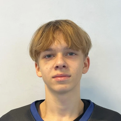 Гребенкин Григорий Константинович