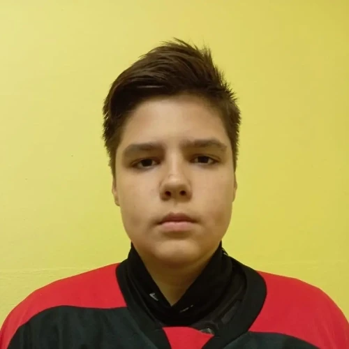 Салин Владимир Алексеевич