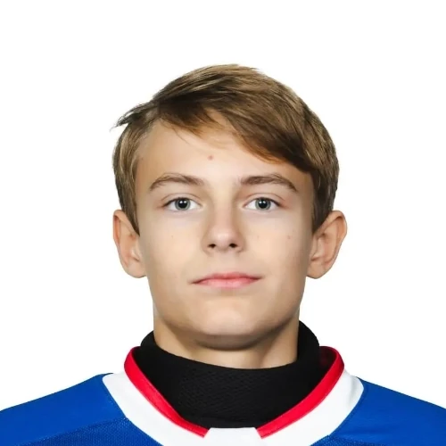 Мельников Александр Андреевич