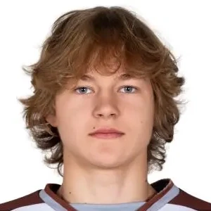 Гусенков Георгий Алексеевич
