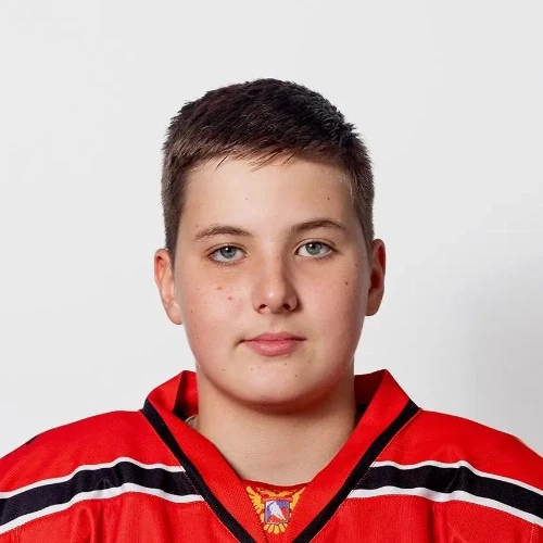 Анашкин Григорий Ильич