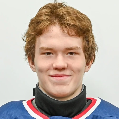 Березин Артём Сергеевич