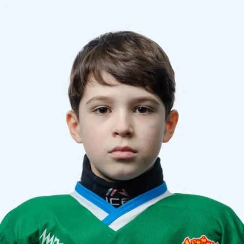 Франгу Сергей Иванович