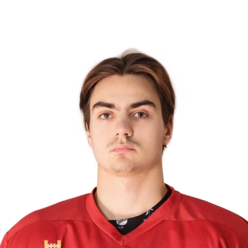 Широбоков Дмитрий