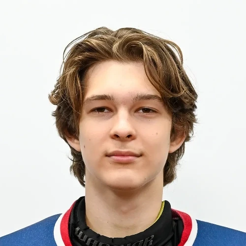 Галеев Дамир Маратович