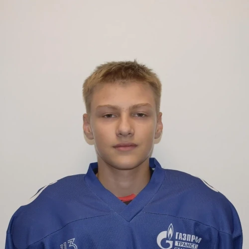 Швецов Данил Андреевич