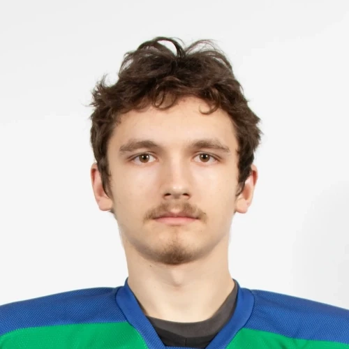 Никулин Егор Павлович