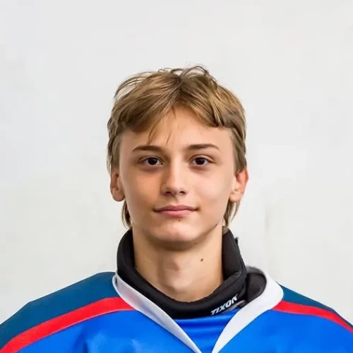Королев Арсений Артурович