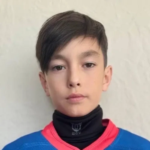 Шевалдин Николай Игоревич