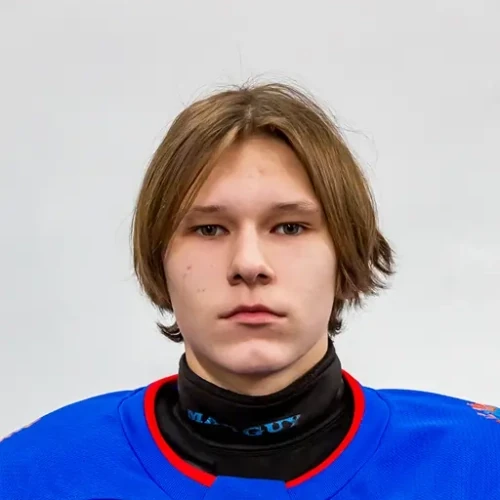 Лобанов Дмитрий Николаевич
