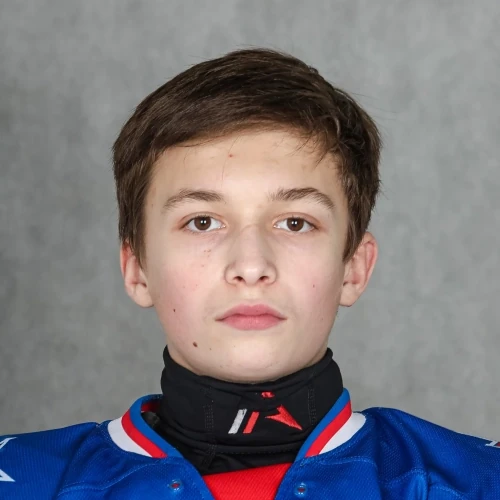 Лихачев Никита Сергеевич