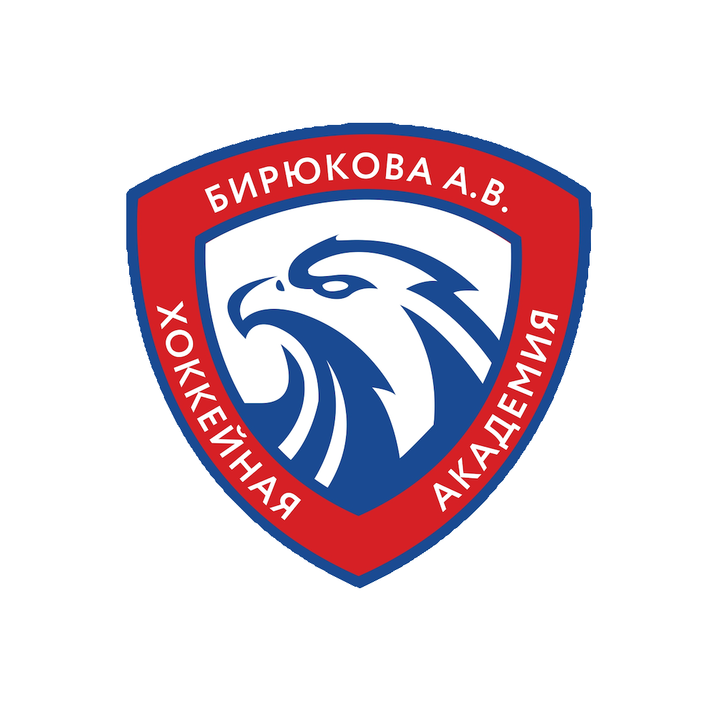 Академия Бирюкова 2013