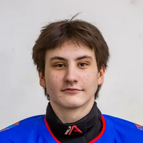 Лозовой Дмитрий Денисович