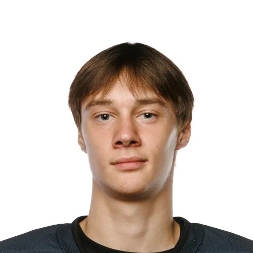 Пушкарев Ярослав Максимович
