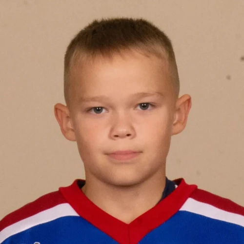 Чёлушкин Яромир Алексеевич