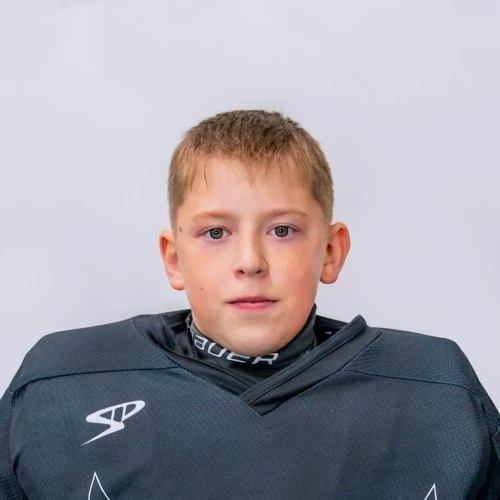 Голденков Роман Сергеевич