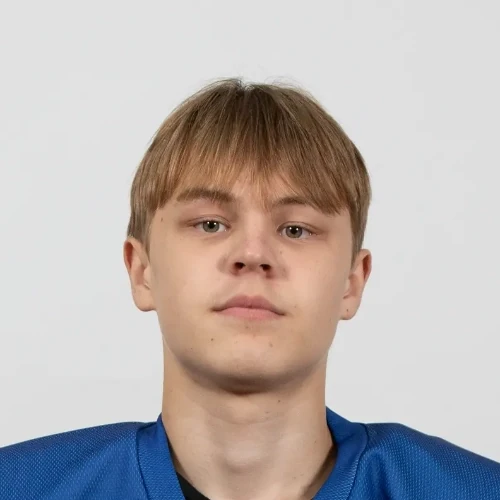 Мустафин Динияр Ильдарович